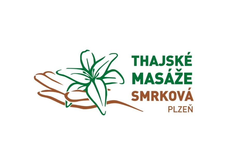 Setkání dvou světů, aneb Tygři míří na Plzeň
