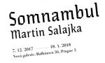 Martina Salajky - Somnambul
